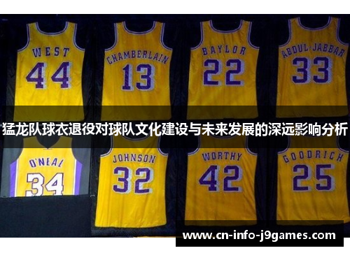 猛龙队球衣退役对球队文化建设与未来发展的深远影响分析