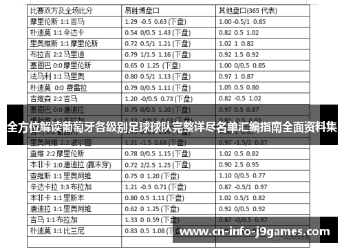 全方位解读葡萄牙各级别足球球队完整详尽名单汇编指南全面资料集