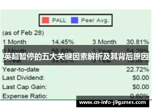 英超暂停的五大关键因素解析及其背后原因